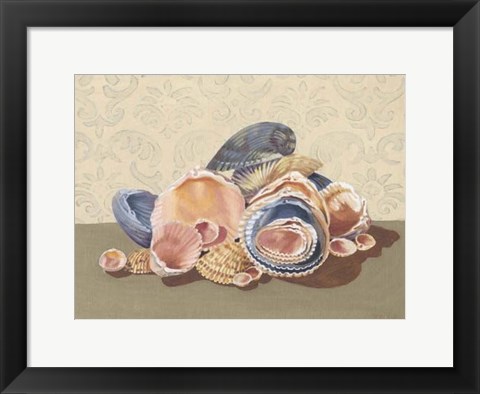 Framed Shell Collection I Print