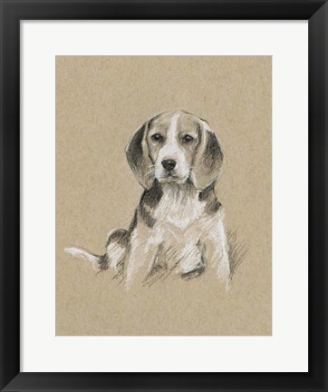 Framed Breed Sketches I Print