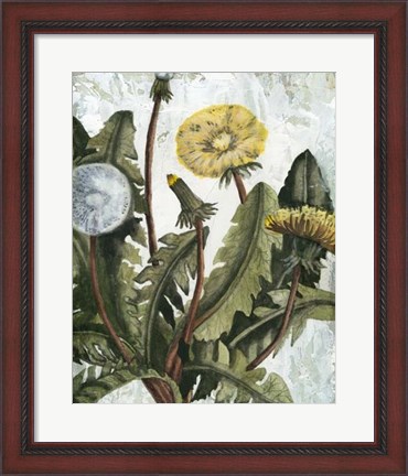 Framed Dandelion Patina I Print
