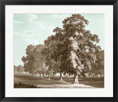 Framed Serene Trees II Print