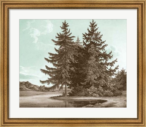 Framed Serene Trees III Print