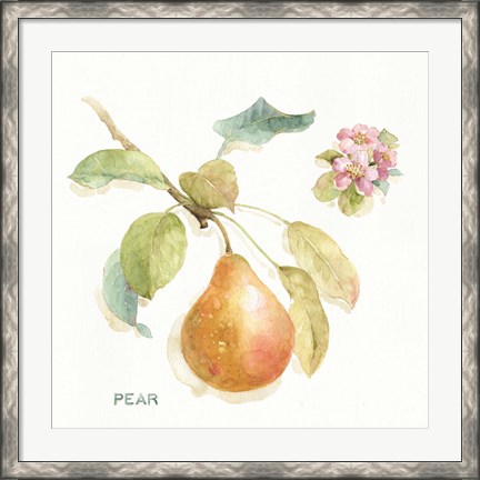 Framed Orchard Bloom II Print