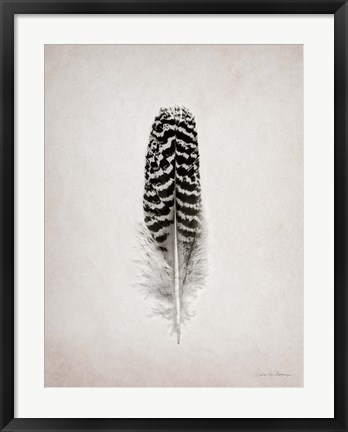 Framed Feather I BW Print