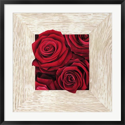 Framed French Roses II Print