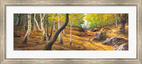 Framed Sentiero nel Bosco Print