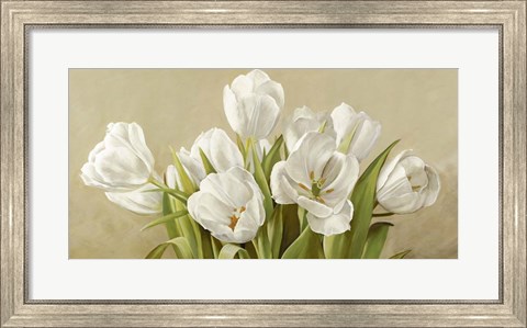 Framed Tulipani Bianchi Print