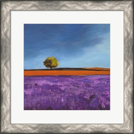 Framed Field of Lavender (Detail) Print