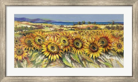 Framed Campo di Girasoli Print