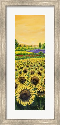 Framed Girasoli e Lavanda Print