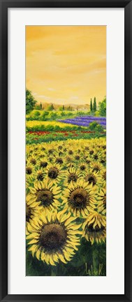 Framed Girasoli e Lavanda Print