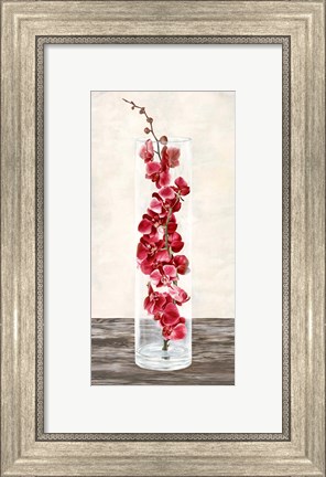 Framed Arrangement of Orchids Print