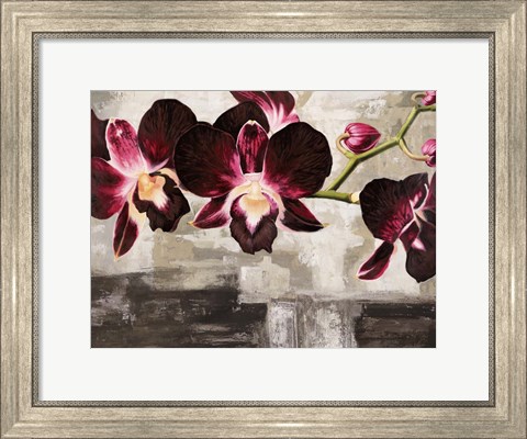 Framed Velvet Orchids Print