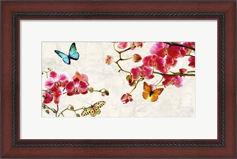 Framed Orchids &amp; Butterflies Print