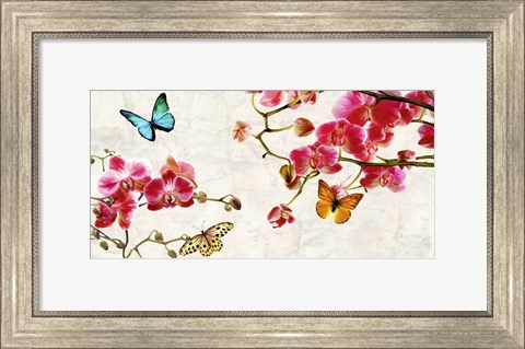 Framed Orchids &amp; Butterflies Print