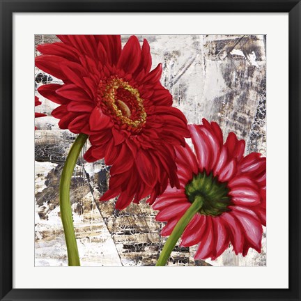 Framed Red Gerberas III Print