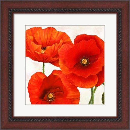 Framed Poppies I Print