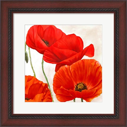 Framed Poppies II Print