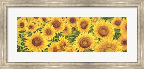 Framed Field of Sunflowers Print