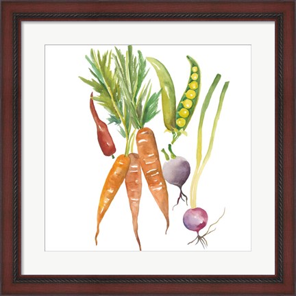 Framed Harvest Medley IV Print