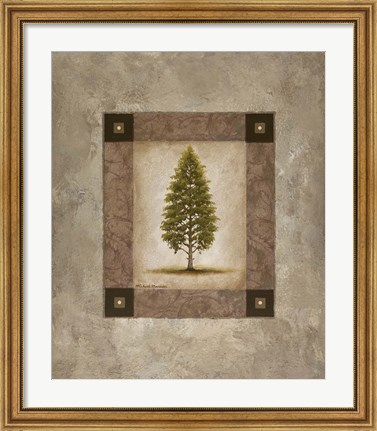 Framed European Pine I Print