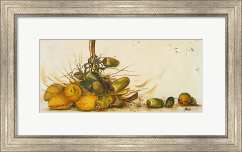 Framed Racimo de Cocos III Print