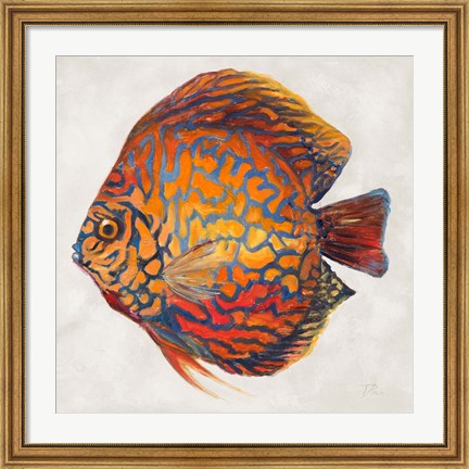 Framed Little Fish II Print