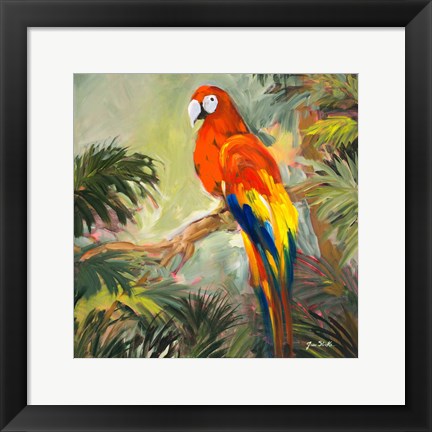 Framed Parrots at Bay I Print