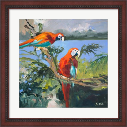 Framed Parrots at Bay II Print