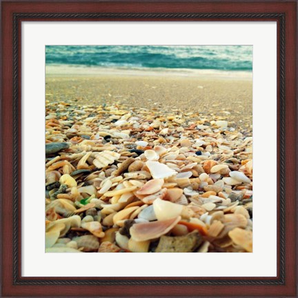 Framed Shells Beach II Print
