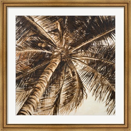 Framed Coconut Palm II Print