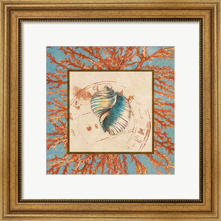 Framed Coral Medley Shell I Print