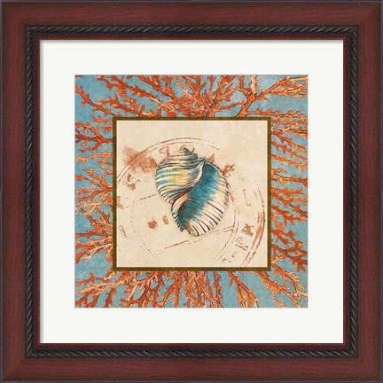 Framed Coral Medley Shell I Print