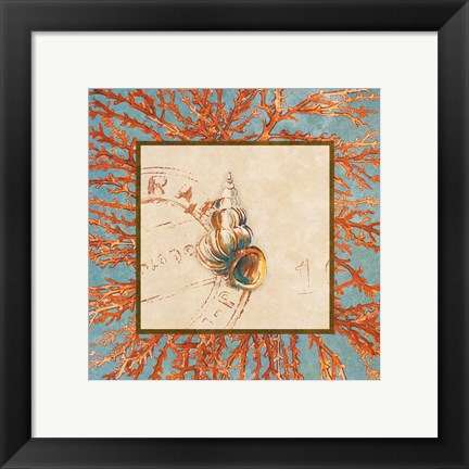 Framed Coral Medley Shell III Print