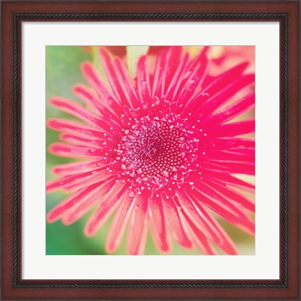 Framed Pink Fun II Print