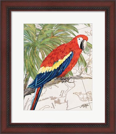 Framed Another Bird in Paradise I Print