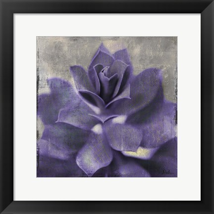 Framed Lavender Succulent I Print