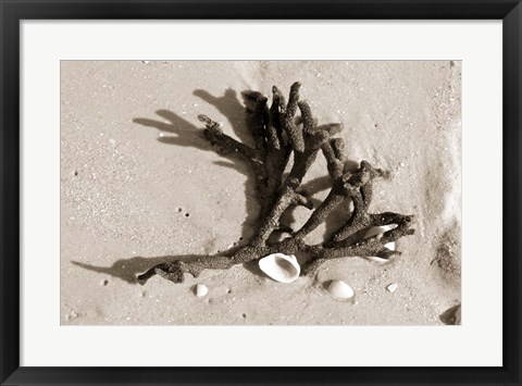 Framed Coral on Sand Print