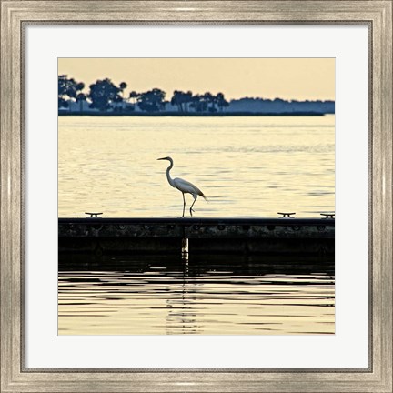 Framed Along The Pier Print