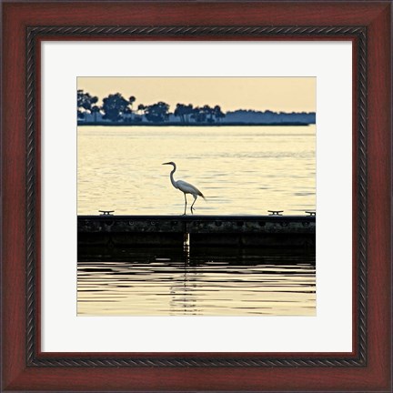 Framed Along The Pier Print