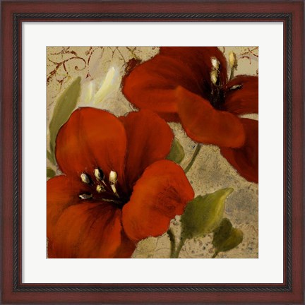 Framed Bahama Flower II Print