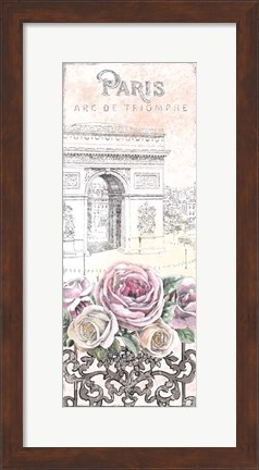 Framed Paris Roses Panel VII Print