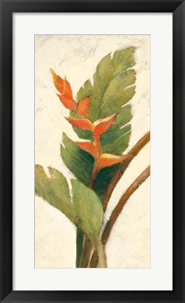 Framed Halconia Blossom on White Print