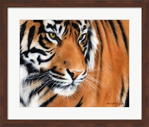 Framed Tiger Crop Print