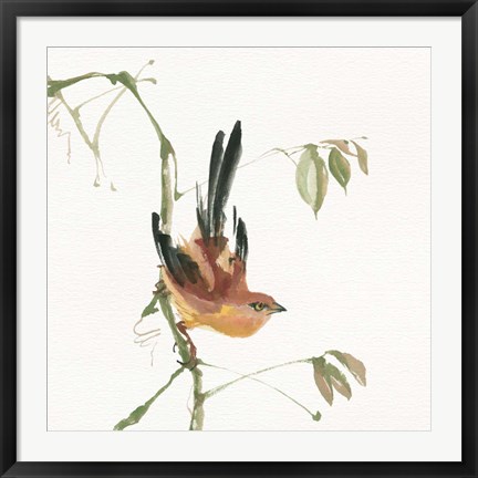 Framed Mountain Bush Warbler Print