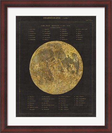 Framed Astronomical Chart I Print