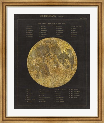 Framed Astronomical Chart I Print