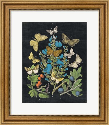 Framed Butterfly Bouquet on Black II Print