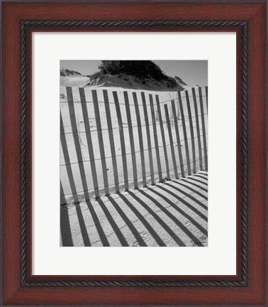 Framed I.R. Fla Fence 2 Print