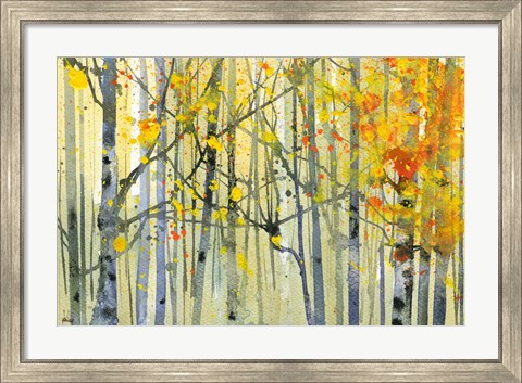 Framed Autumn Birches Print