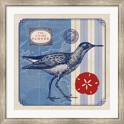 Framed Sea Bird I Print